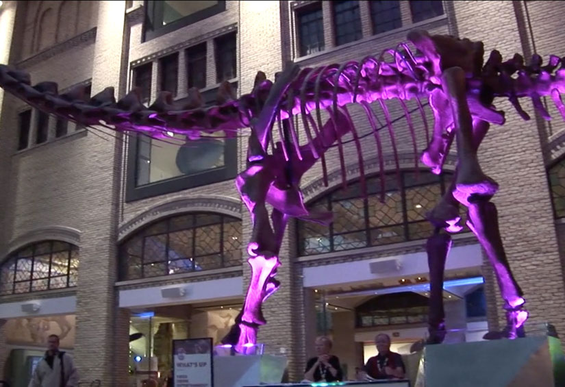 portfolio-interactive_rom