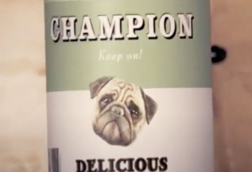 portfolio-video-champ